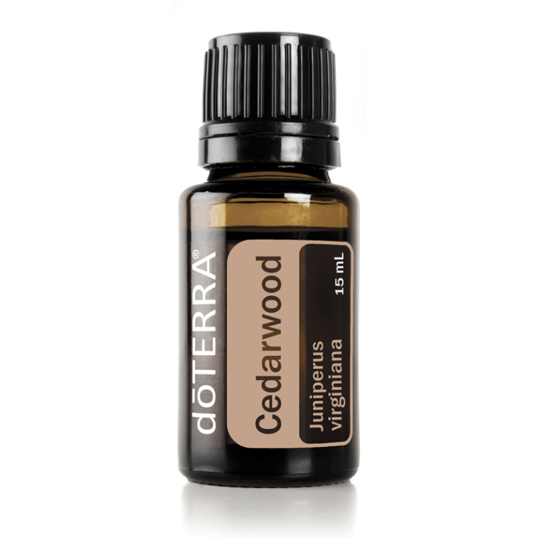 Cedarwood Essential Oil - 15ml - Prae Store