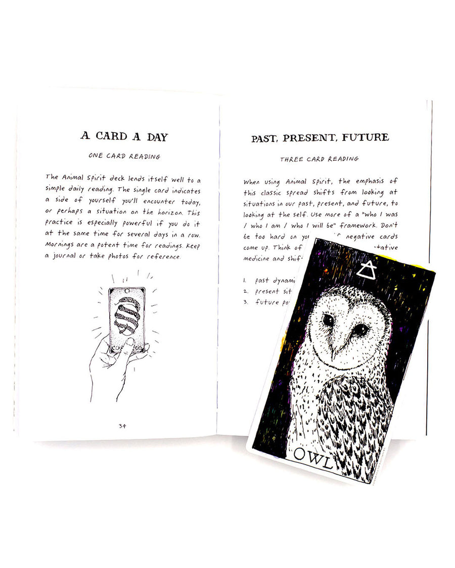 The Wild Unknown Animal Spirit Deck and Guidebook - Prae Store